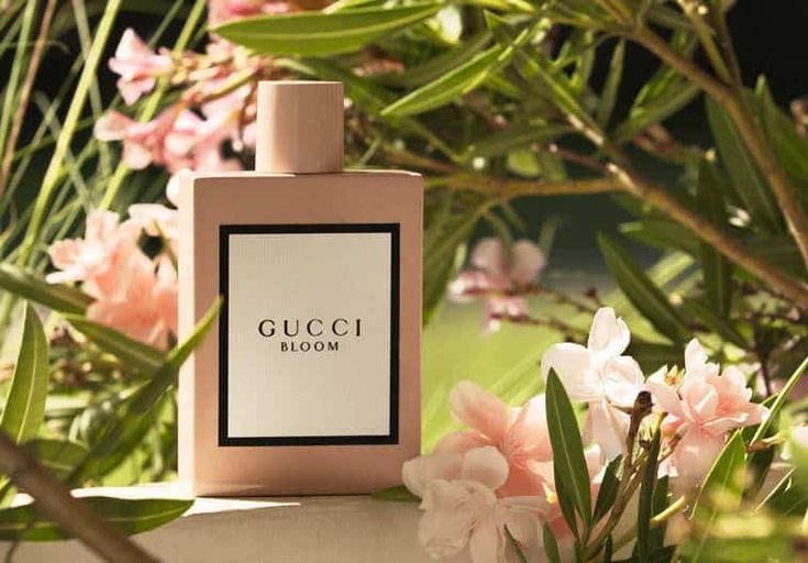 guccci Bloom By Gucci 100ml