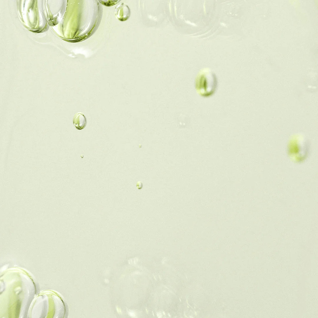 Beauty of Joseon Calming Serum : Green tea + Panthenol-30ml